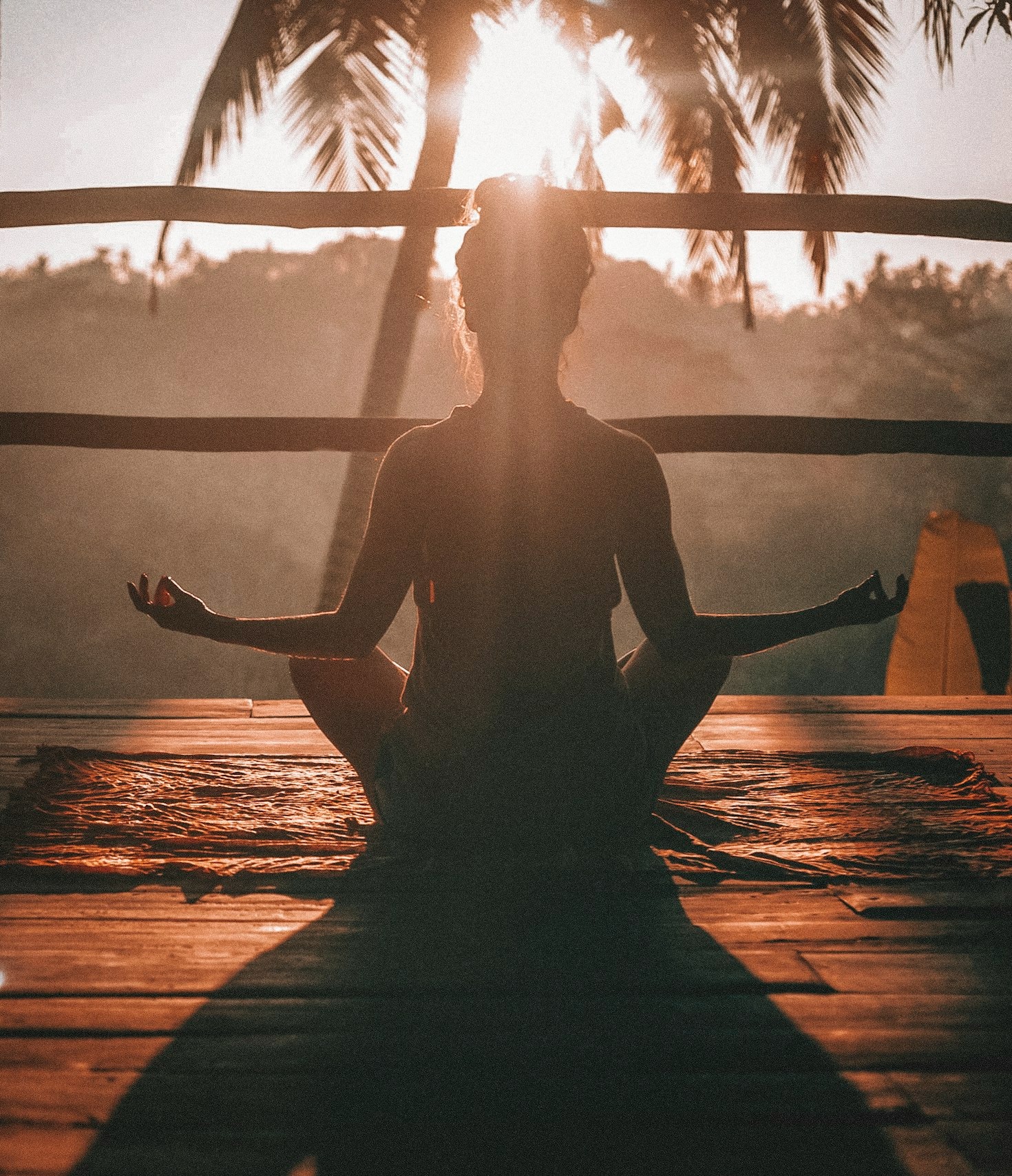 Transform Your Everyday with Wellness Strategies